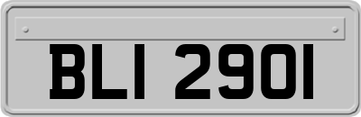 BLI2901