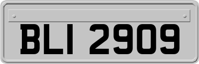 BLI2909