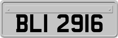 BLI2916