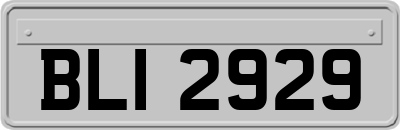 BLI2929