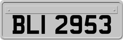 BLI2953