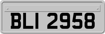 BLI2958
