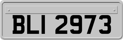 BLI2973
