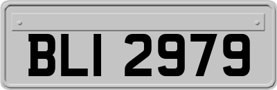 BLI2979