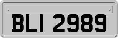 BLI2989