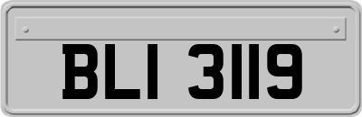 BLI3119