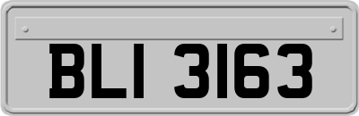 BLI3163