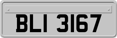 BLI3167