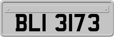 BLI3173
