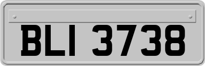 BLI3738