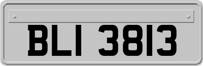 BLI3813
