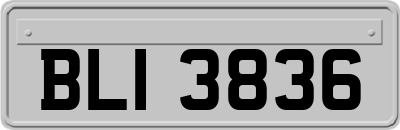 BLI3836