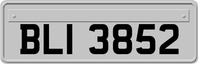 BLI3852
