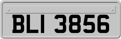 BLI3856
