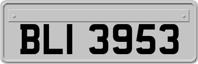 BLI3953