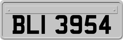 BLI3954
