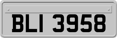 BLI3958