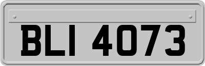BLI4073
