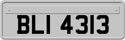 BLI4313