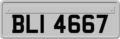 BLI4667