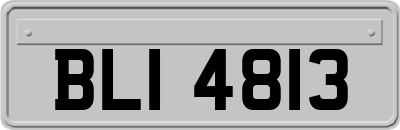 BLI4813