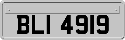 BLI4919
