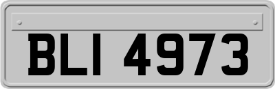 BLI4973