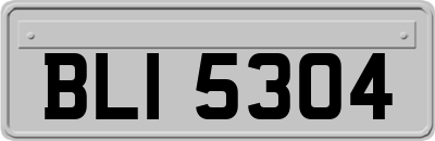 BLI5304