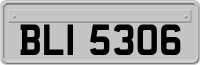 BLI5306