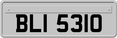 BLI5310