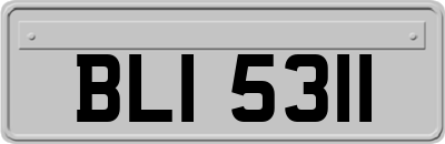 BLI5311