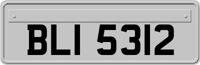 BLI5312