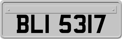 BLI5317