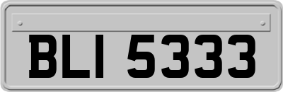 BLI5333