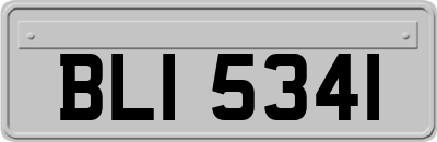 BLI5341