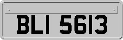 BLI5613