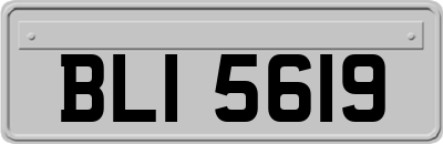 BLI5619