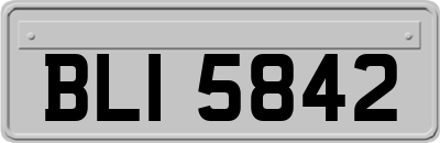 BLI5842