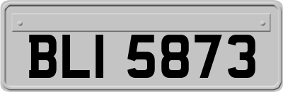 BLI5873