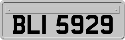 BLI5929