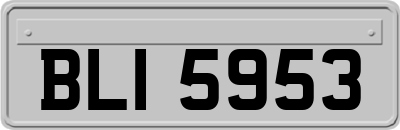 BLI5953