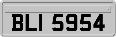 BLI5954