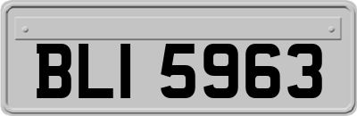 BLI5963