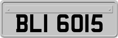 BLI6015
