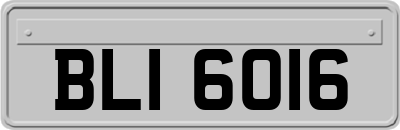 BLI6016
