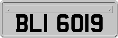 BLI6019