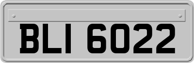 BLI6022