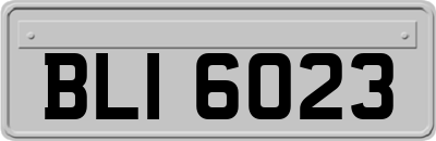 BLI6023