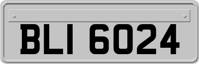 BLI6024