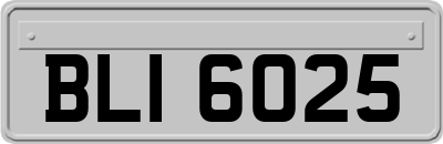 BLI6025